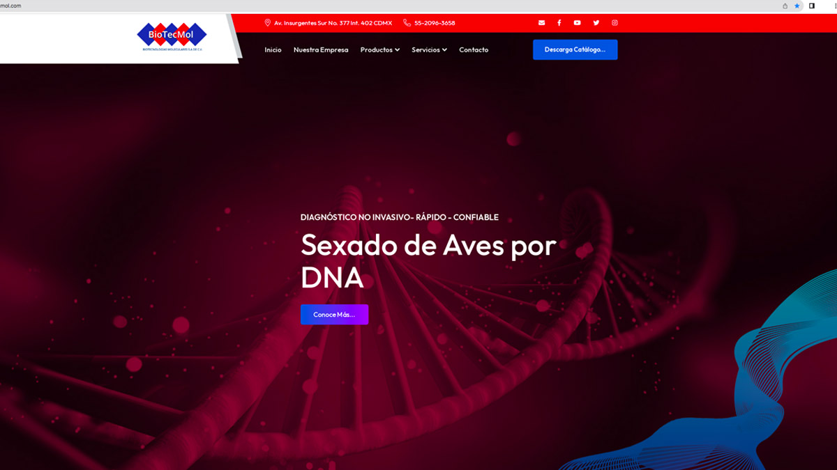 Página web Biotecmol